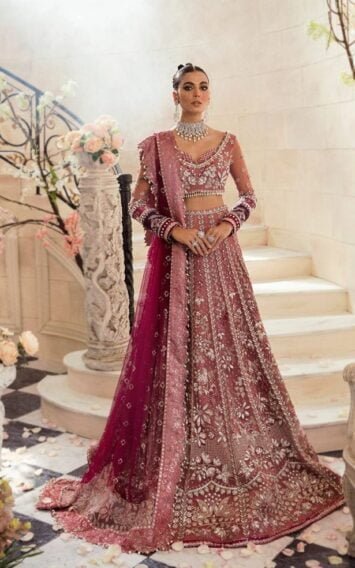 Claire De Lune - Pink Lehenga Choli Dress
