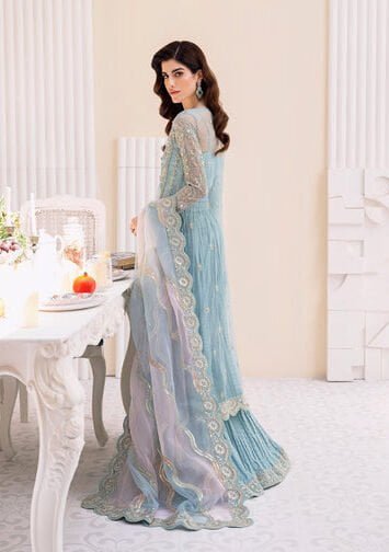 RIMEL - Pakistani Wedding Dresses Ferozi Crush Sharara Pant 3 EB Collection 1 25