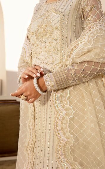 TYLA - Pakistani Wedding Dresses Nikkah Partywear Engagement Guest Outfits 7 EB Collection 6 12