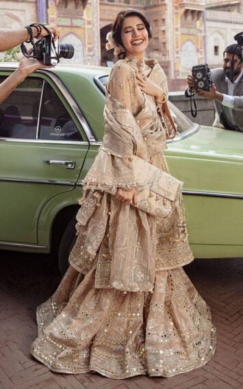 ebcollection.online 1 12