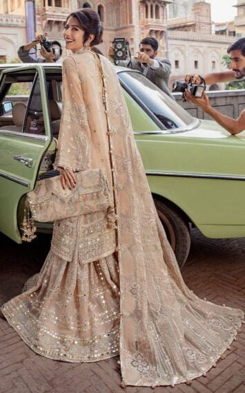 ebcollection.online 11 2