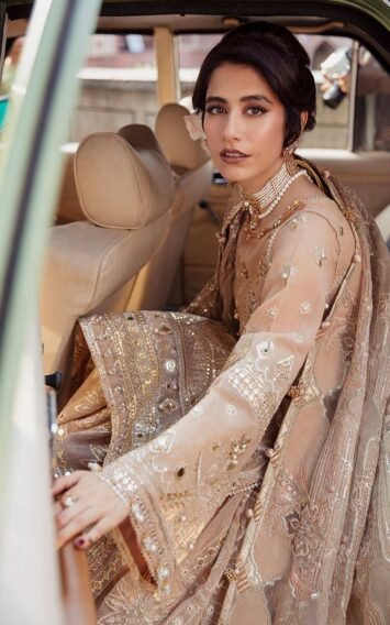 ebcollection.online 12 1