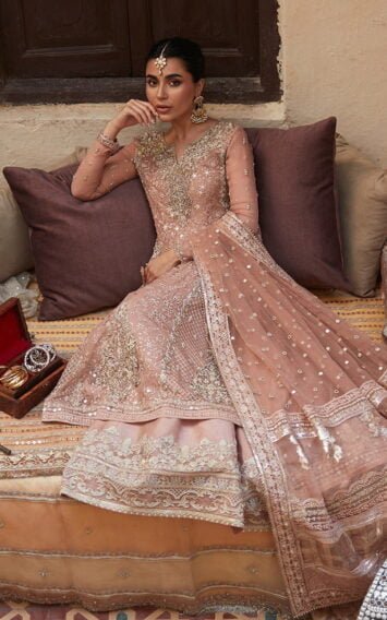 ebcollection.online 2 4