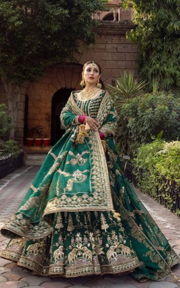 ebcollection.online 2 7