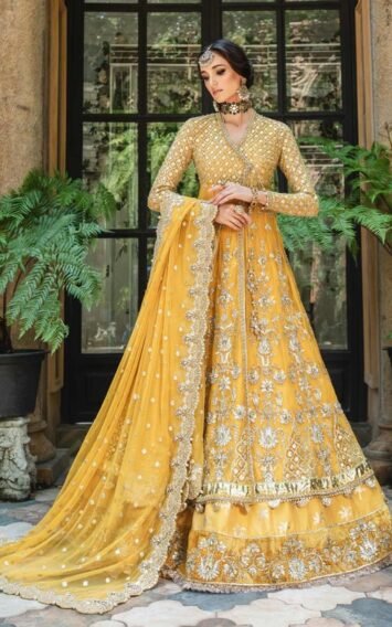 ebcollection.online 3 13