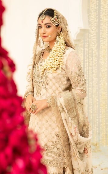 ebcollection.online 3 15