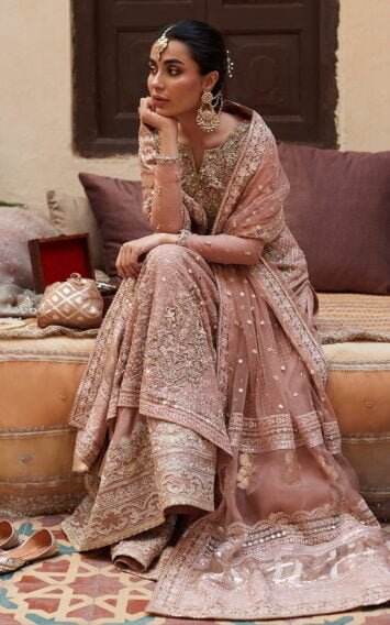 ebcollection.online 3 3