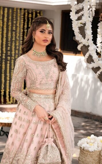 ebcollection.online 3 8