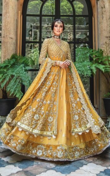 ebcollection.online 4 12