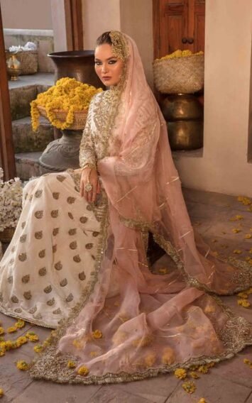 ebcollection.online 4 20