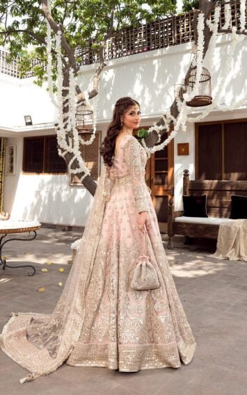 ebcollection.online 4 7