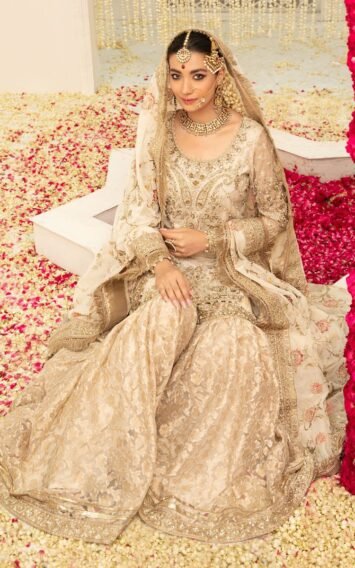 ebcollection.online 5 12