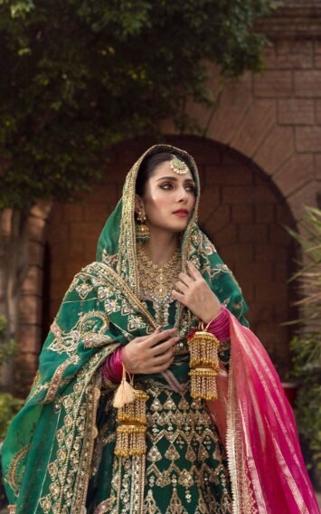 ebcollection.online 6 6