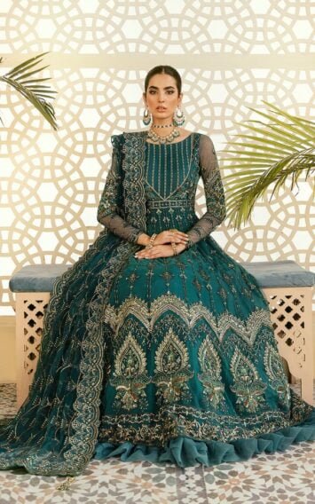 ebcollection.online 6 6