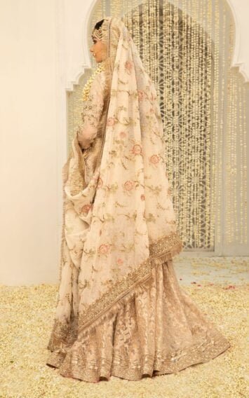 ebcollection.online 6 8