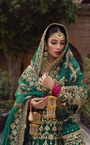 ebcollection.online 7 5