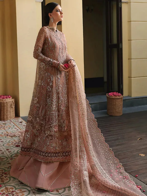 Baia EB Collection 10