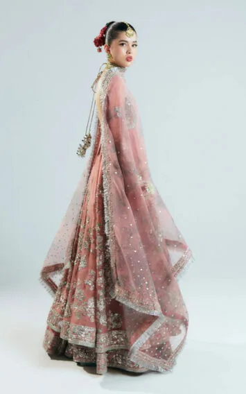 Hussain Rehar Tropica 2