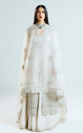 Seraph Hussain Rehar 10