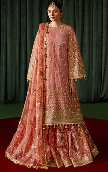 Guriya Rani Wedding Edition - Luxury Pakistani Clothes - Pakistani Wedding Dresses