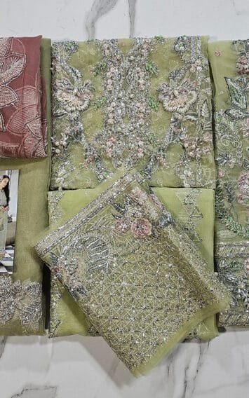 Nurey Wedding Edition - Luxury Party Outfit - Pakistani Wedding Dresses 9 EB Fashion Club 7 Copy